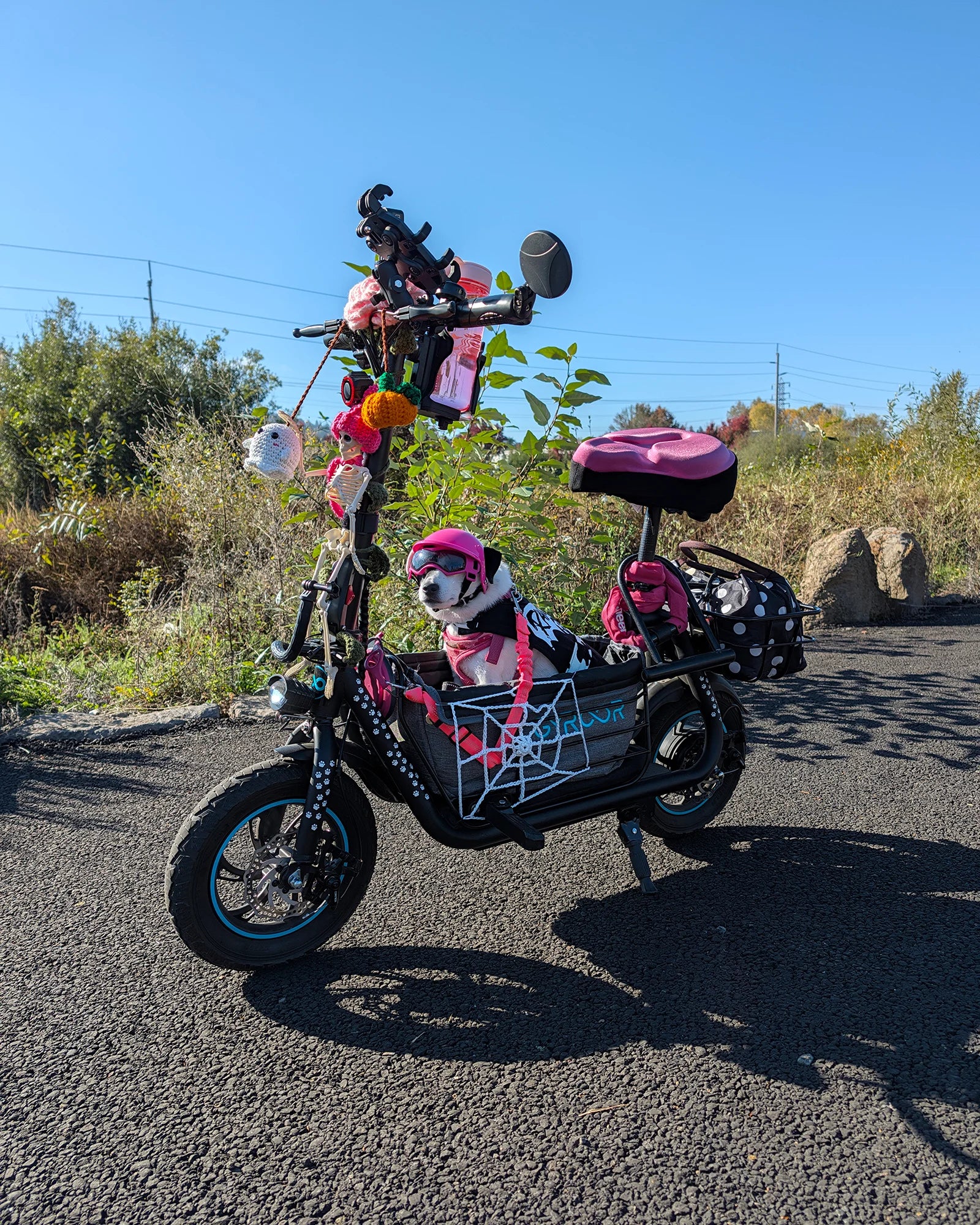 Gyroor C1S Electric Scooter – 800W(Peak),Front & Rear Baskets